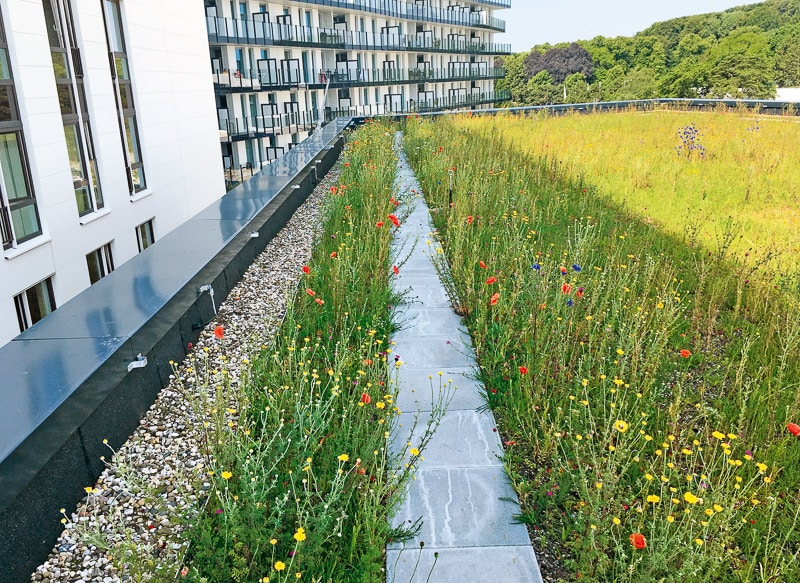 Green Shield Green roof system