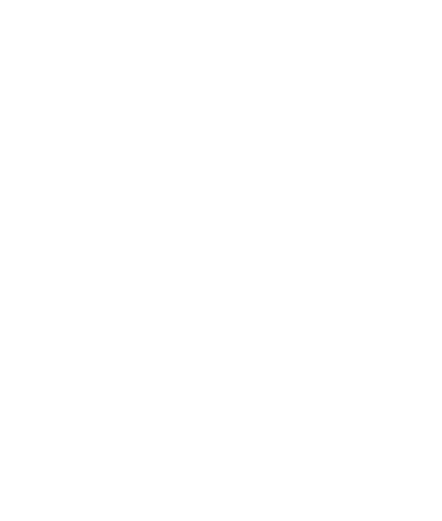 Swansea city council logo