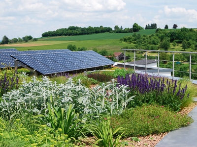 Green roof with solar panels