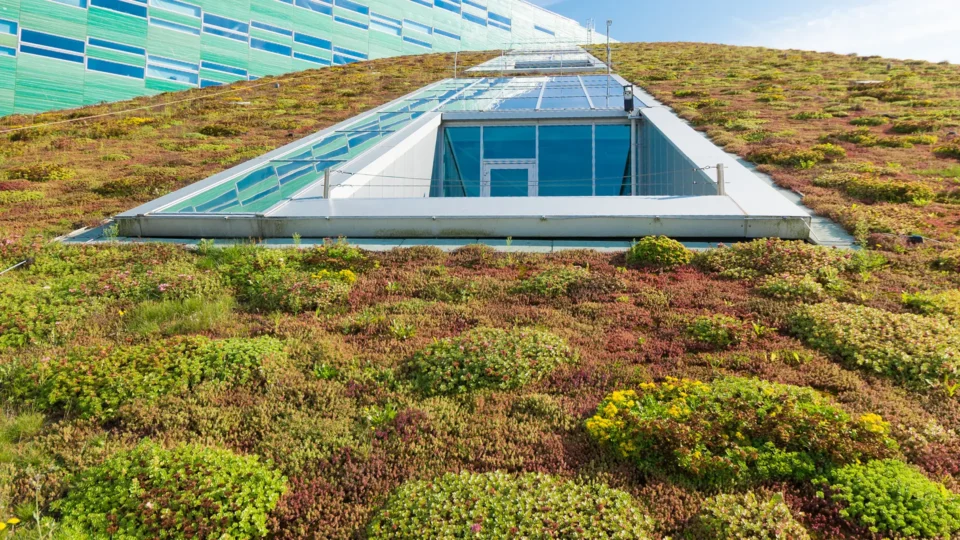 Green roof with skylights and native plants covering building structure